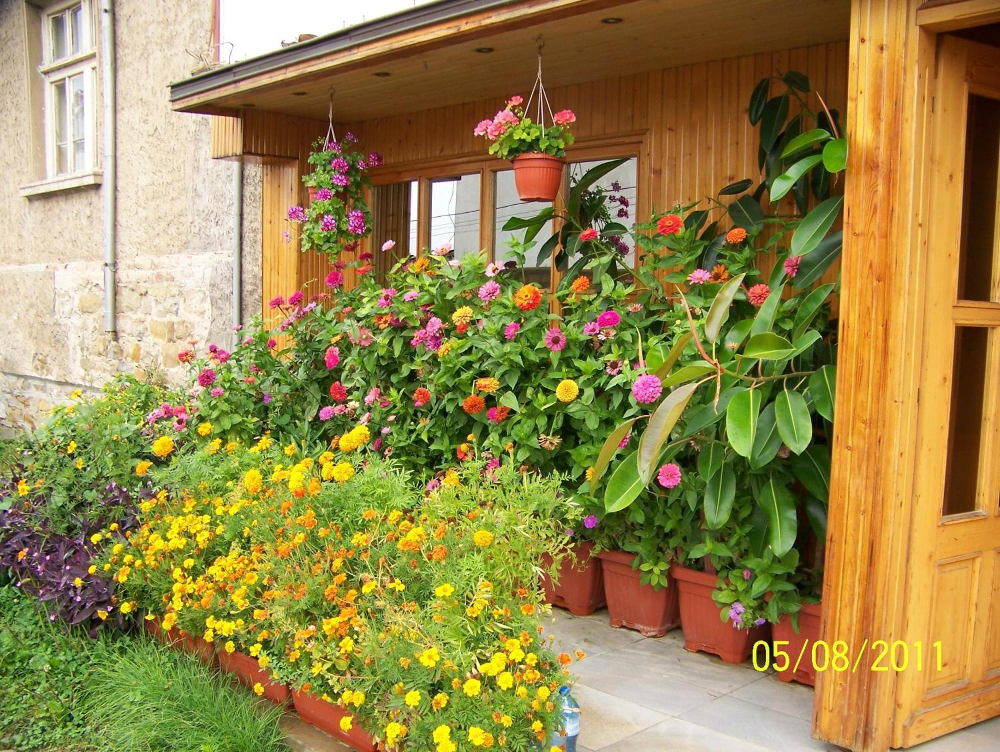Hotel Comfort Veliko Tarnovo Luaran gambar